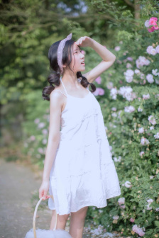 香港奇案之女星何价电影